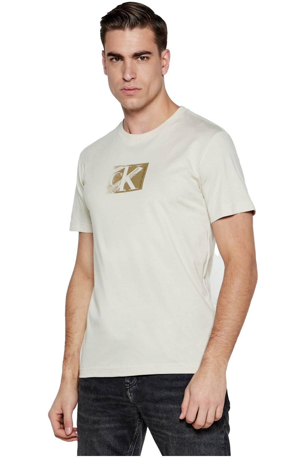 T-S manches courtes  Calvin klein J30J327077 PDH Moonbeam