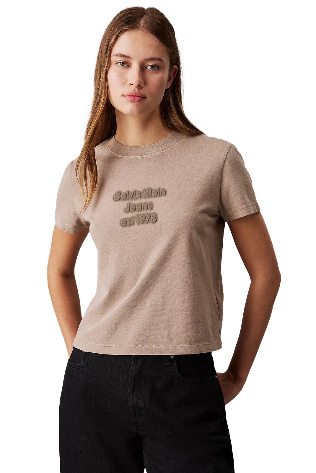 Tee shirt  Calvin klein J20J224988 PFW Taupe Gray