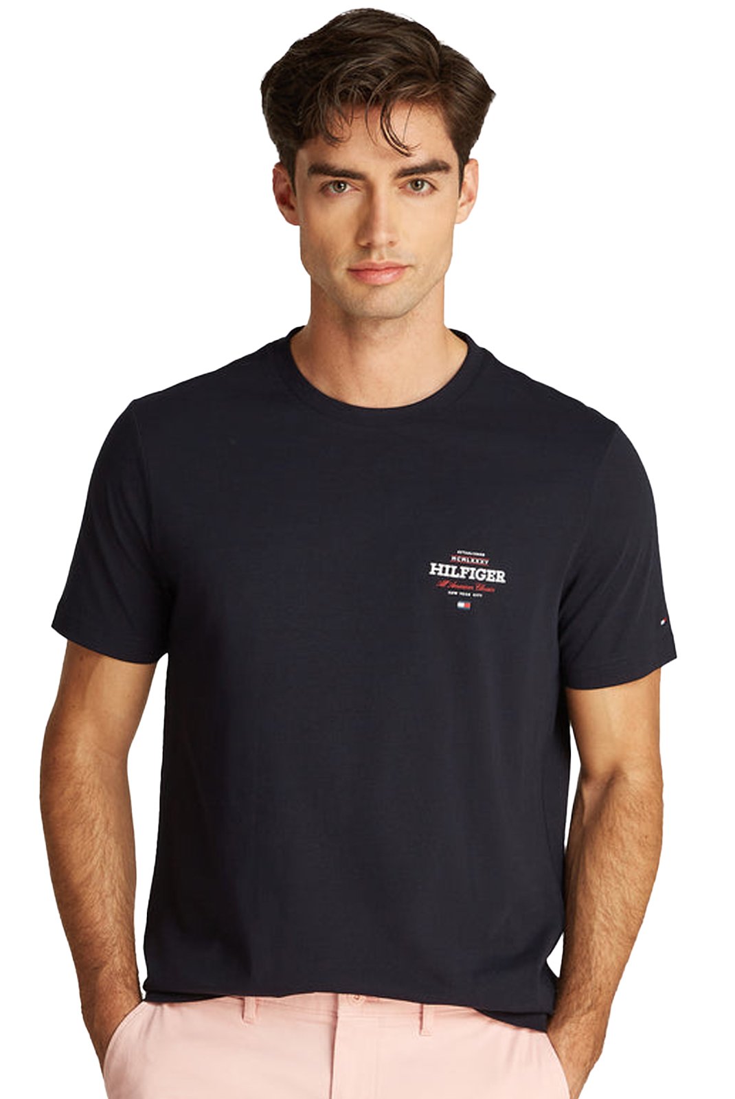 T-S manches courtes  Tommy Hilfiger MW0MW38644 DW5 Desert Sky