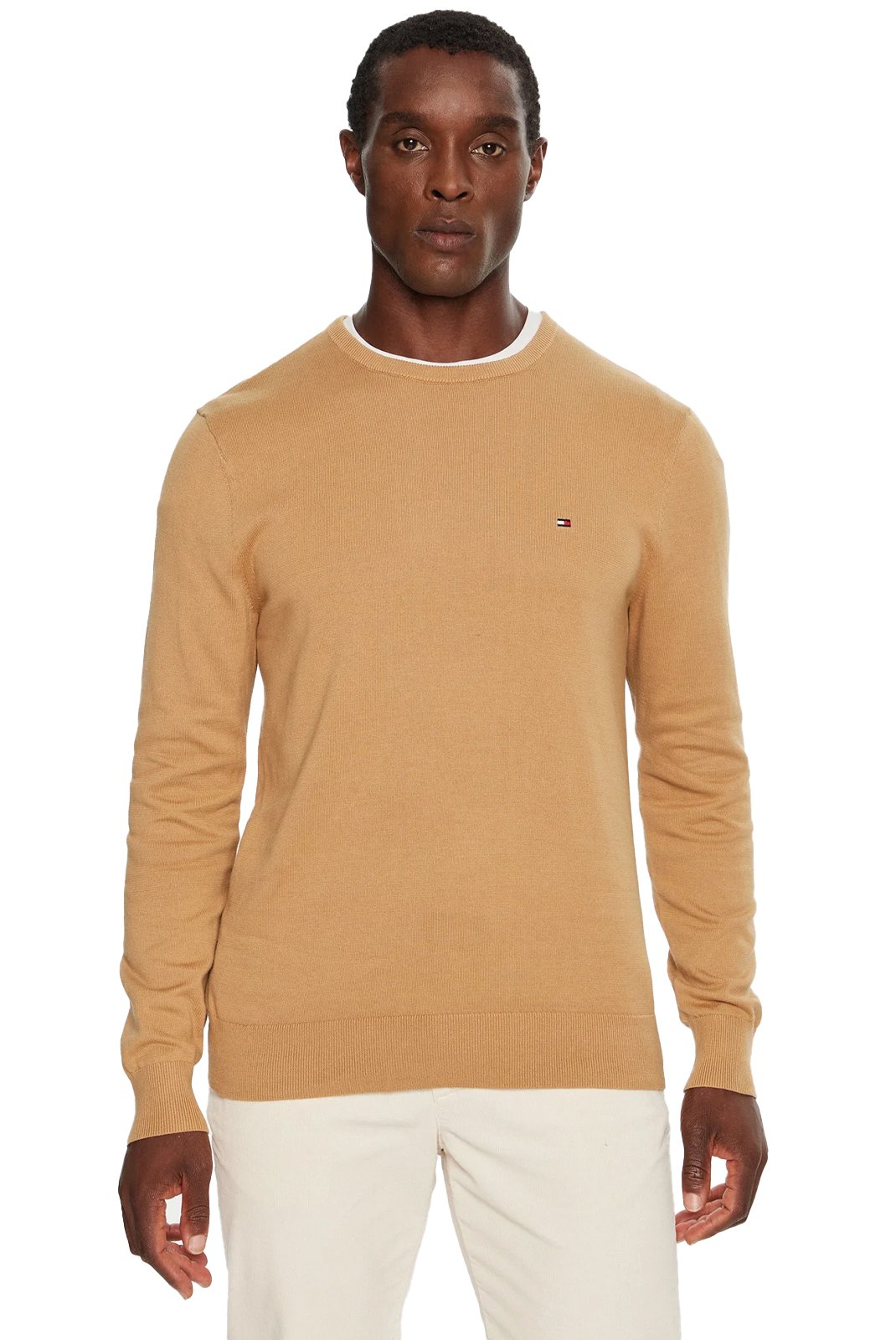 Pulls  Tommy Hilfiger MW0MW14748 RBC Safari Canvas
