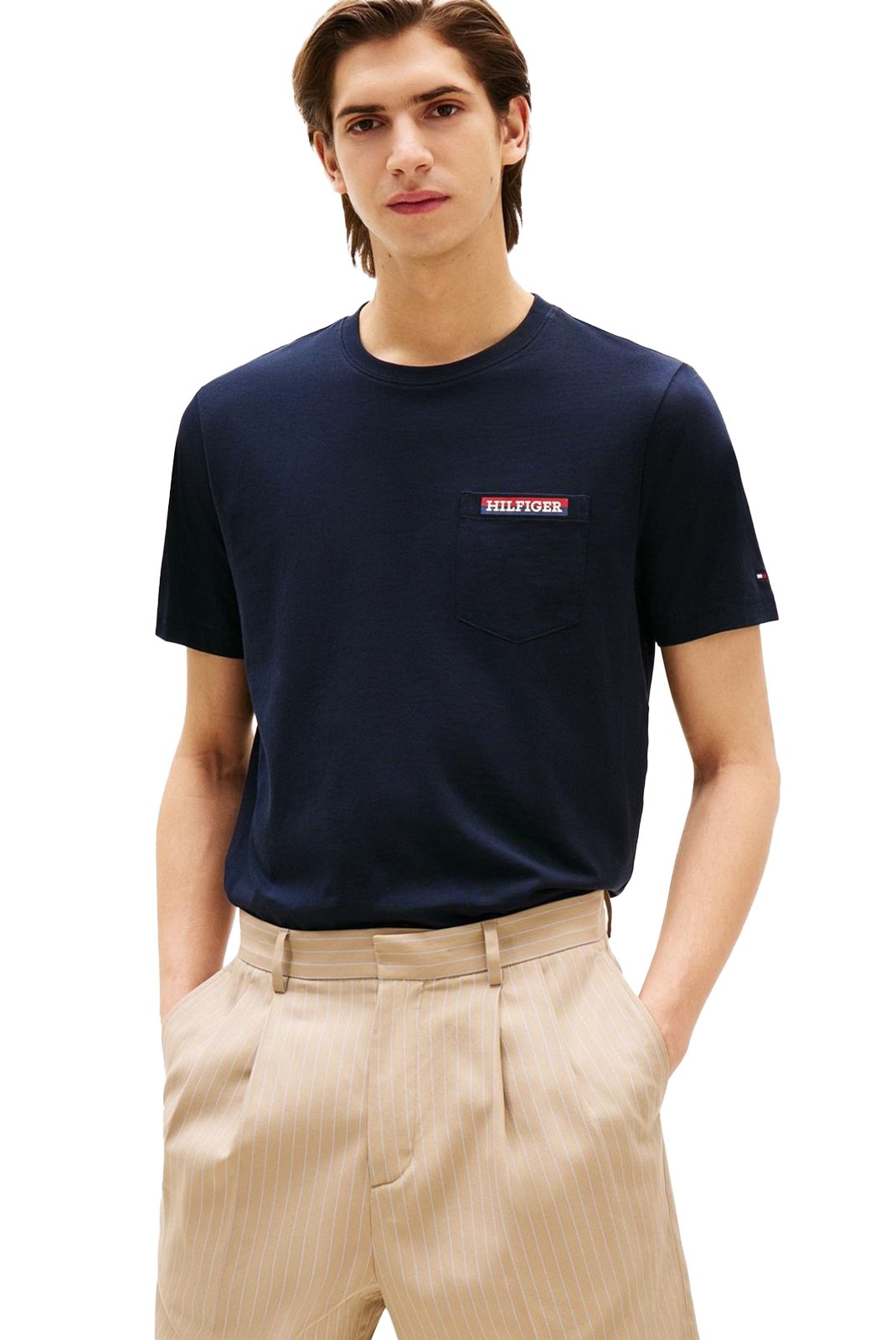 T-S manches courtes  Tommy Hilfiger MW0MW39844 DW5 Desert Sky