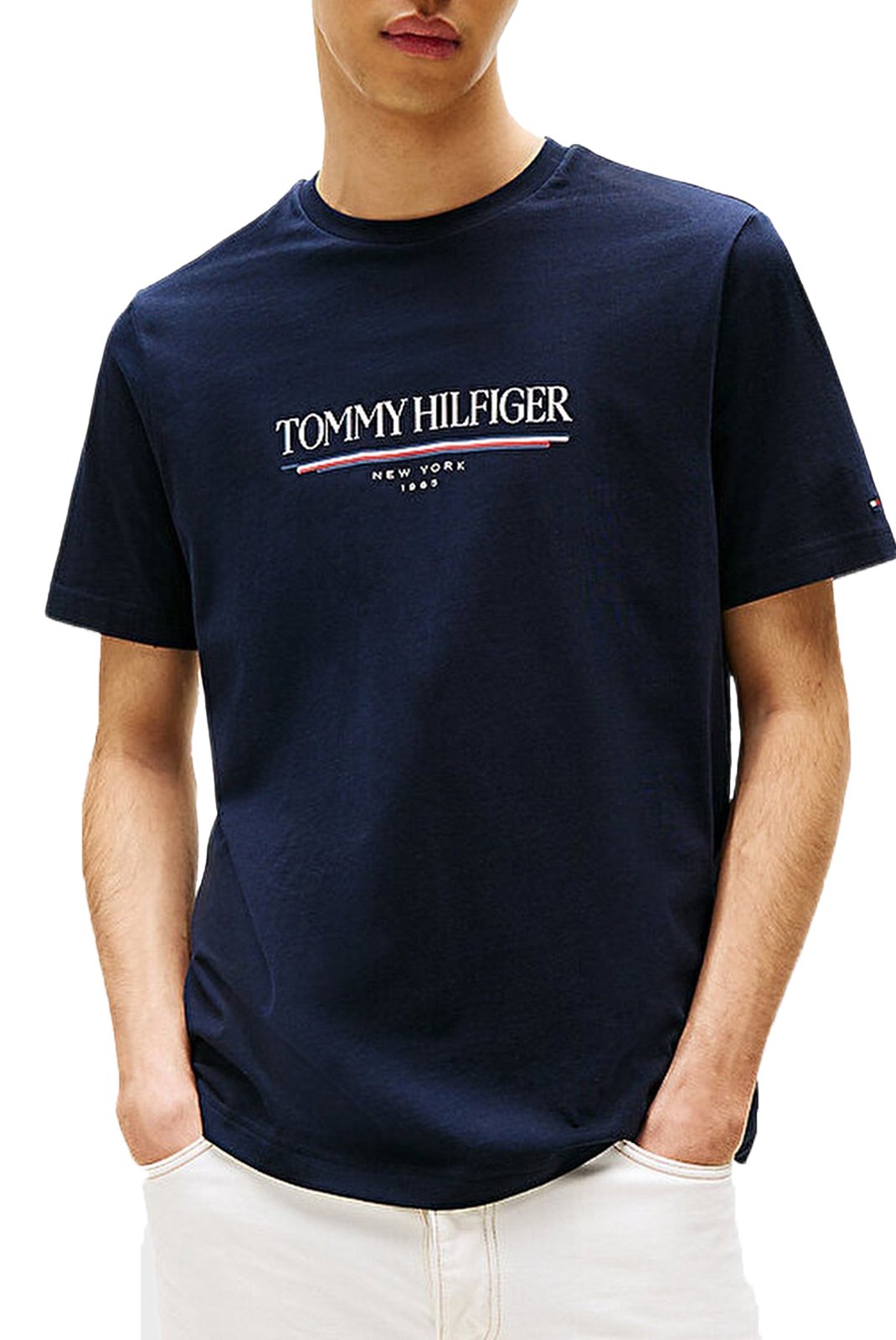 T-S manches courtes  Tommy Hilfiger MW0MW40324 DW5 Desert Sky