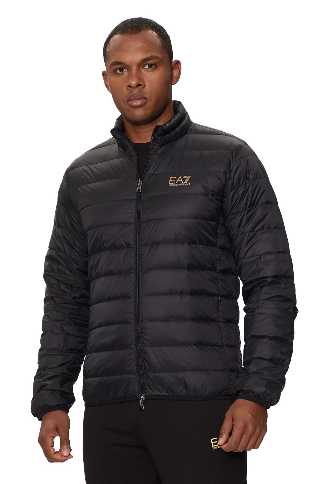 Blousons / doudounes  Ea7 8NPB23 PNGPZ 0208 BLACK