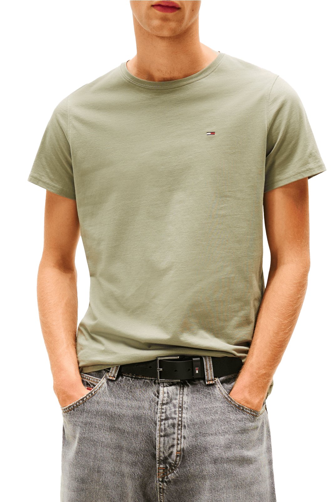 T-S manches courtes  Tommy Jeans DM0DM04411 M1L Utility Sage