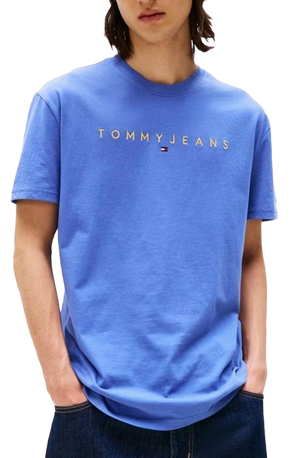 T-S manches courtes  Tommy Jeans DM0DM20744 0GY Soft Sapphire Multi