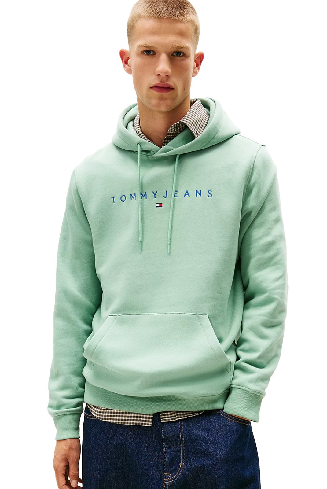 Sweatshirts  Tommy Jeans DM0DM20746 MAS Cloudy Jade Multi