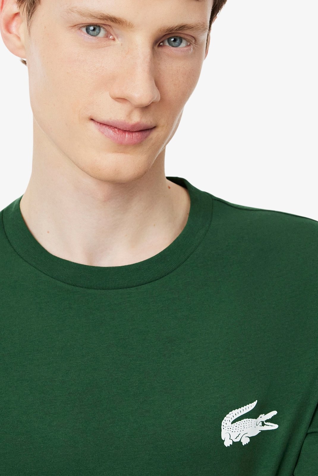 T-S manches courtes  Lacoste TH9460 132 GREEN