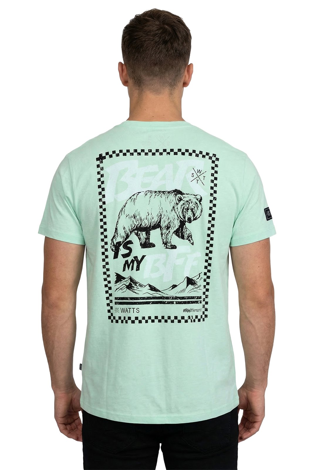 T-S manches courtes  Watts BUDY 5507 SOFT MINT