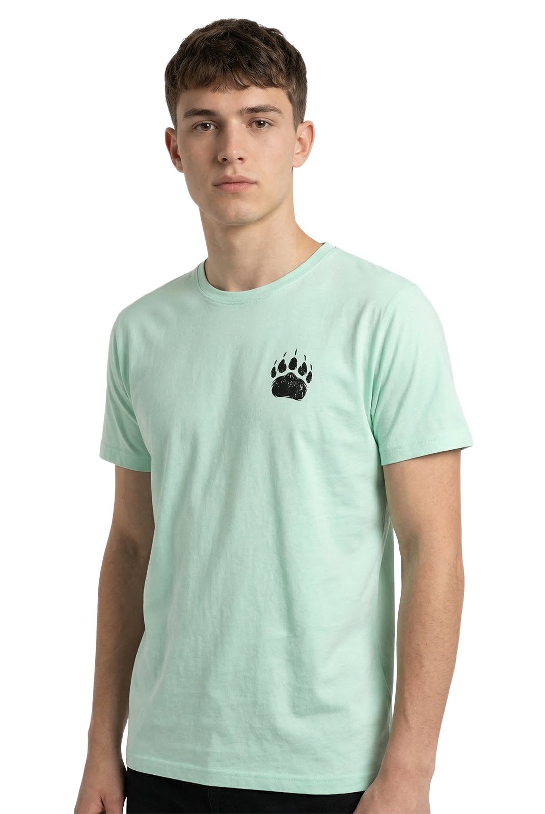 T-S manches courtes  Watts BUDY 5507 SOFT MINT