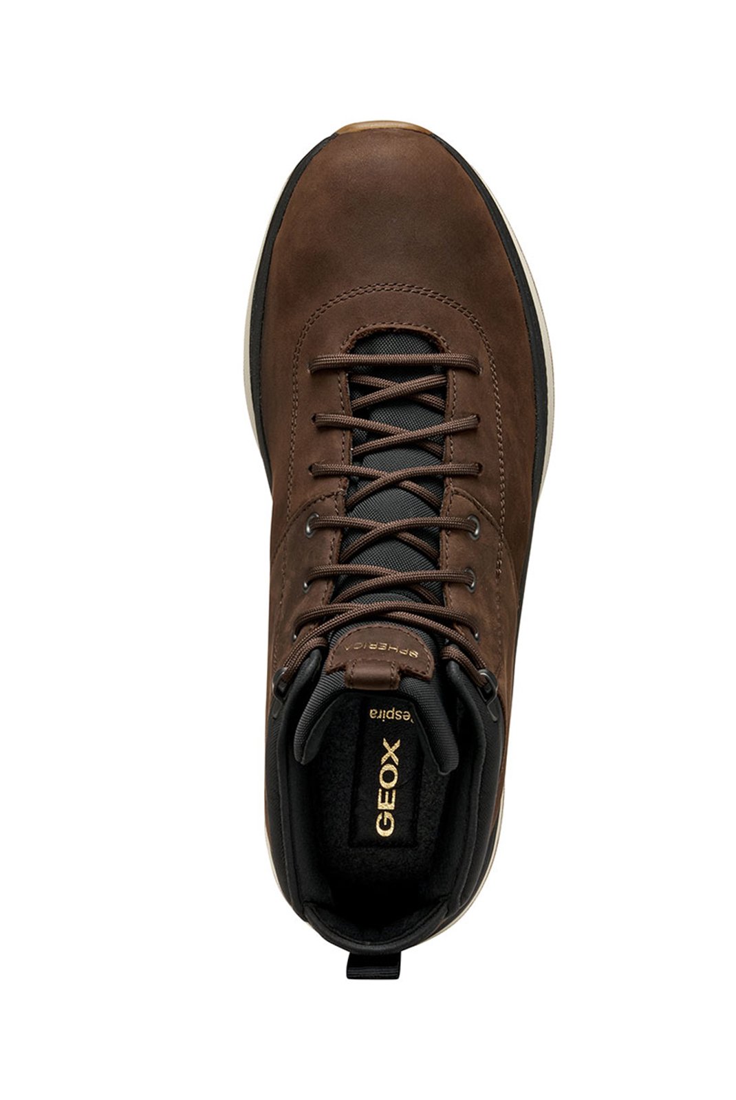 Sneakers / Sport  Geox U56HMC04511 C6238 DK BROWN/BLACK