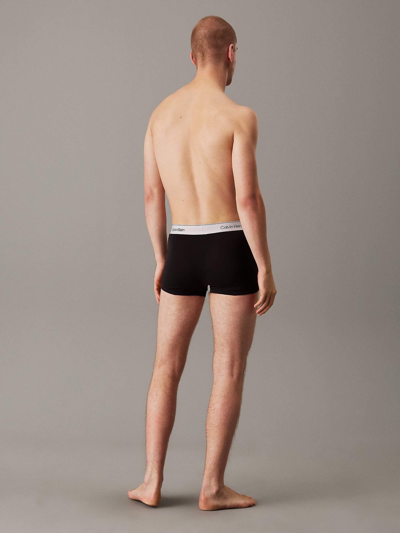 Slips / Boxers  Calvin klein LV00NB4392 VQO B- VINT IND, MICRO CHIP, MOLTEN WBS