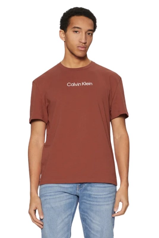T-S manches courtes  Calvin klein K10K111346 XAH Barn Red