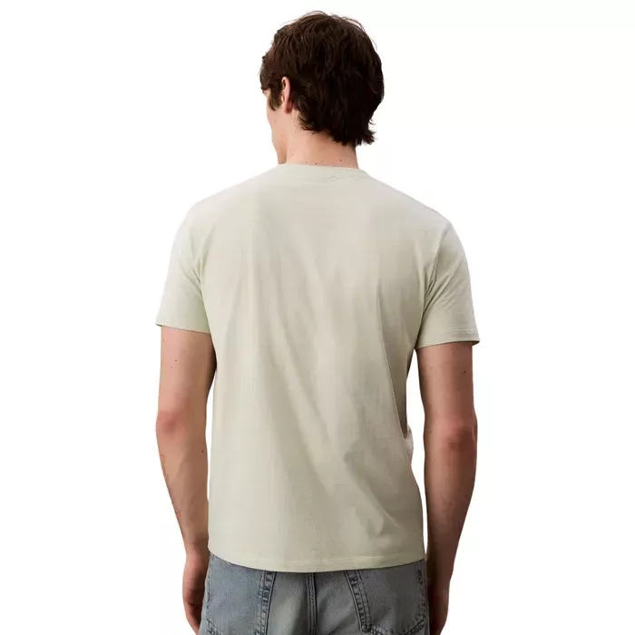 T-S manches courtes  Calvin klein LV04RC272G PWM Tender Greens