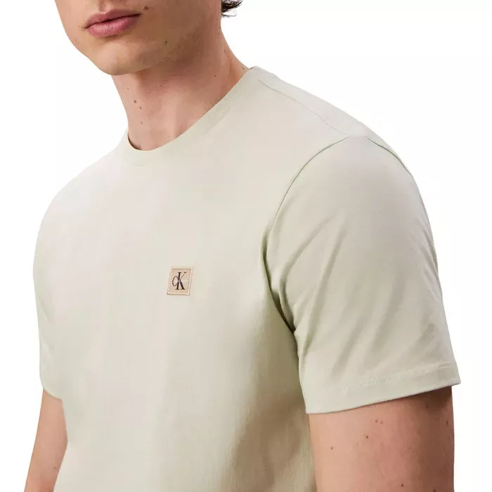 T-S manches courtes  Calvin klein LV04RC272G PWM Tender Greens