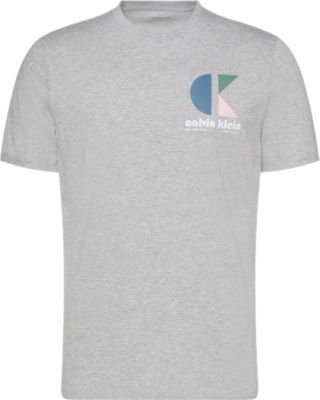 T-S manches courtes  Calvin klein LV04RC843G P79 Heroic Grey Heather