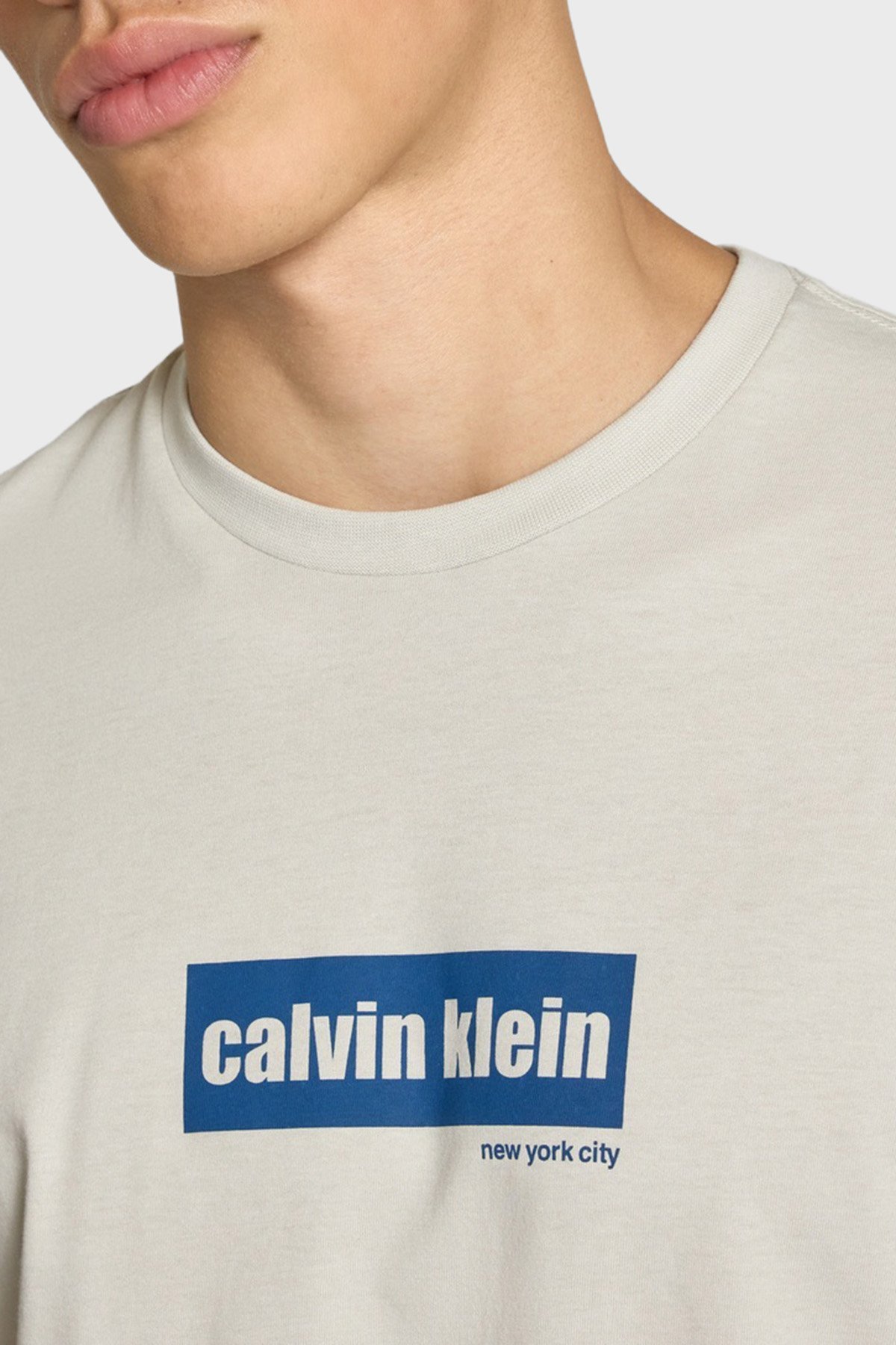 T-S manches courtes  Calvin klein LV04RC849G PDJ Moonstruck