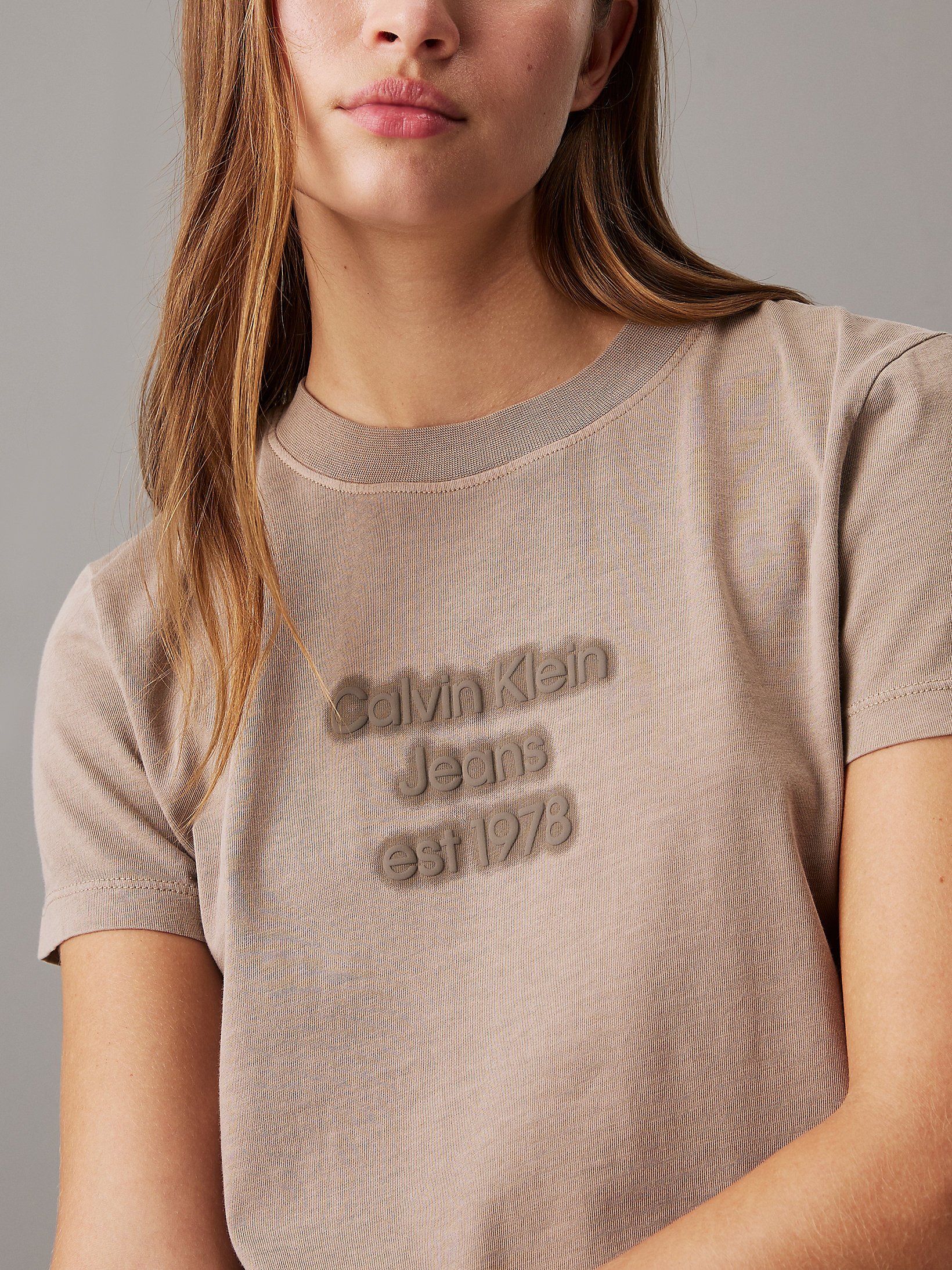 Tee shirt  Calvin klein J20J224988 PFW Taupe Gray