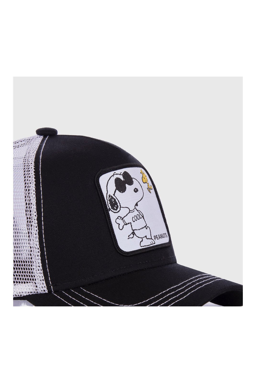 Casquettes  Capslab CL_PEA_1_NAW1__Noir Noir