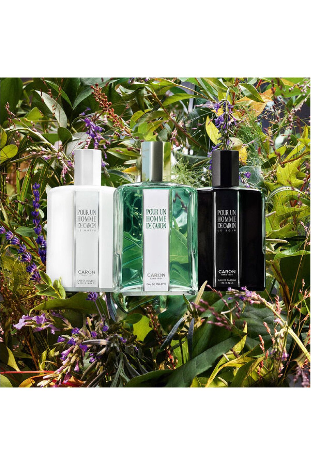 Parfum Homme  Caron 3387952099281 Transparent