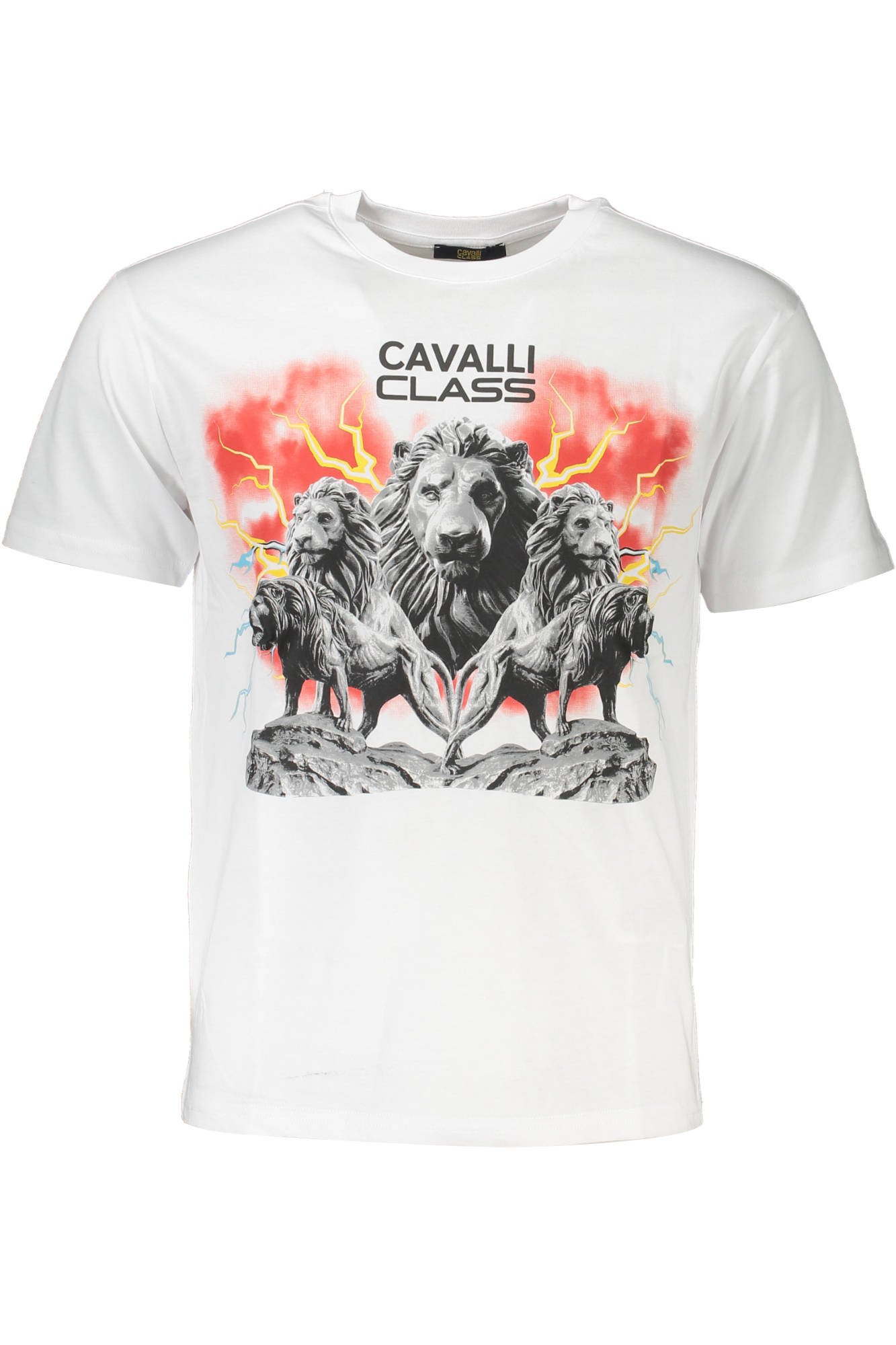 Tee-shirts  Cavalli Class QXT60FJD060_50260F3_BIANCO0005 Bianco