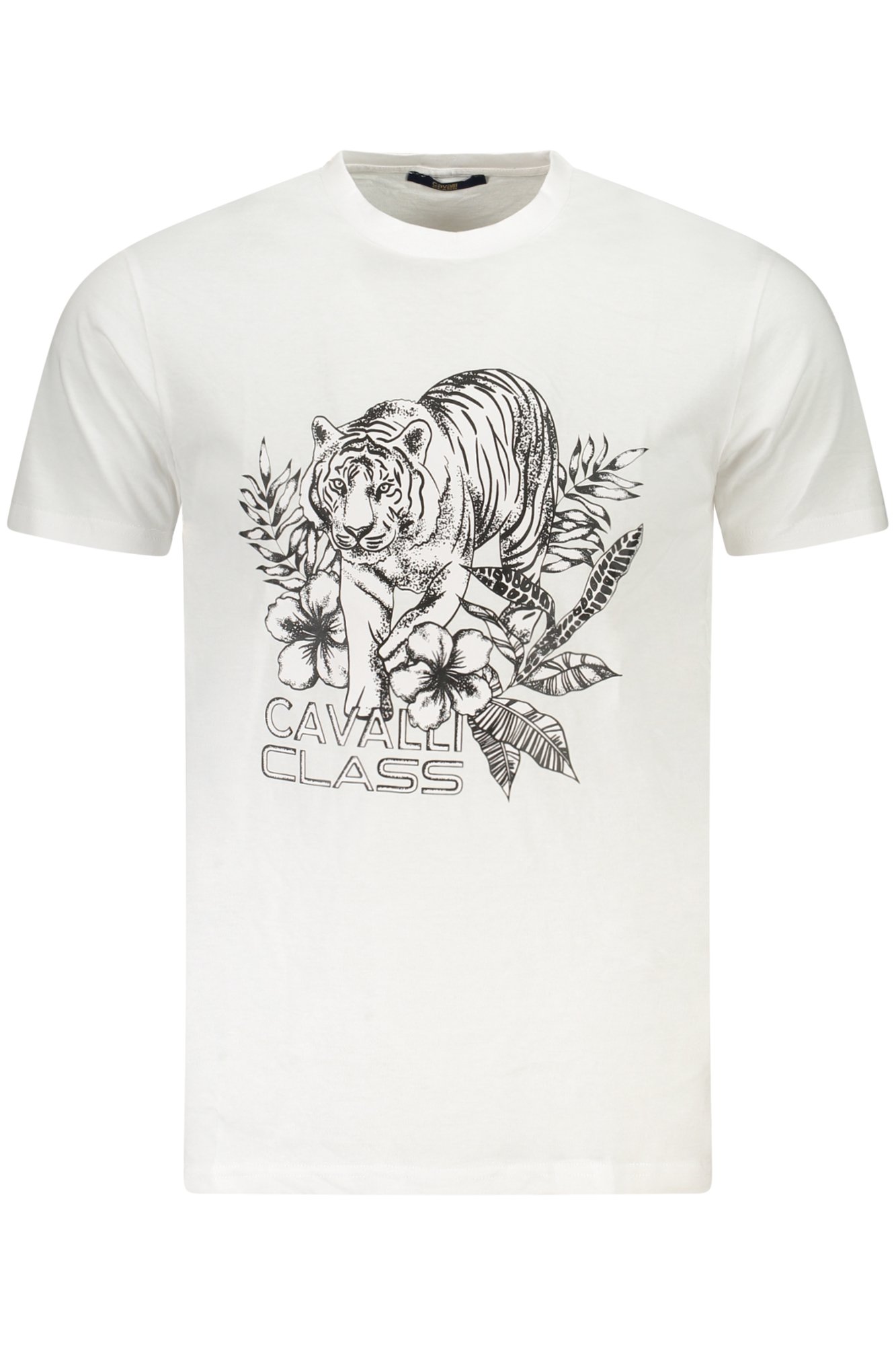 Tee-shirts  Cavalli Class TXT60RJD060_BI00533 Bianco