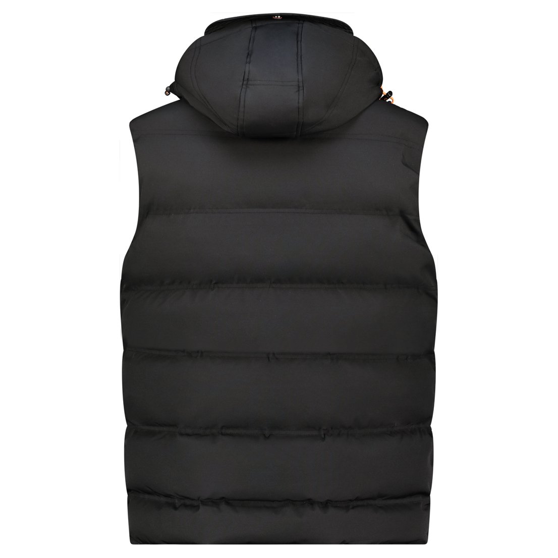 Blousons / doudounes  Geographical norway WY8137H/GN Black