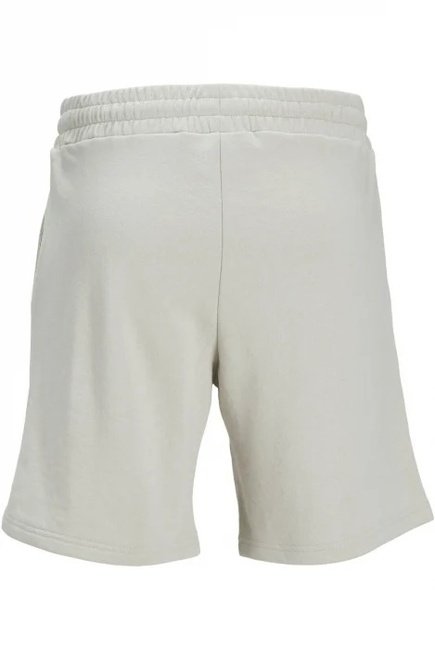 Shorts & Bermudas  Jack & Jones 12248831 Moonbeam 
