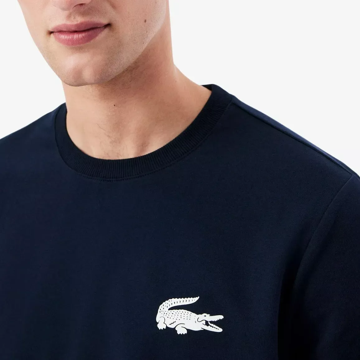 Pulls  Lacoste SH9462 525