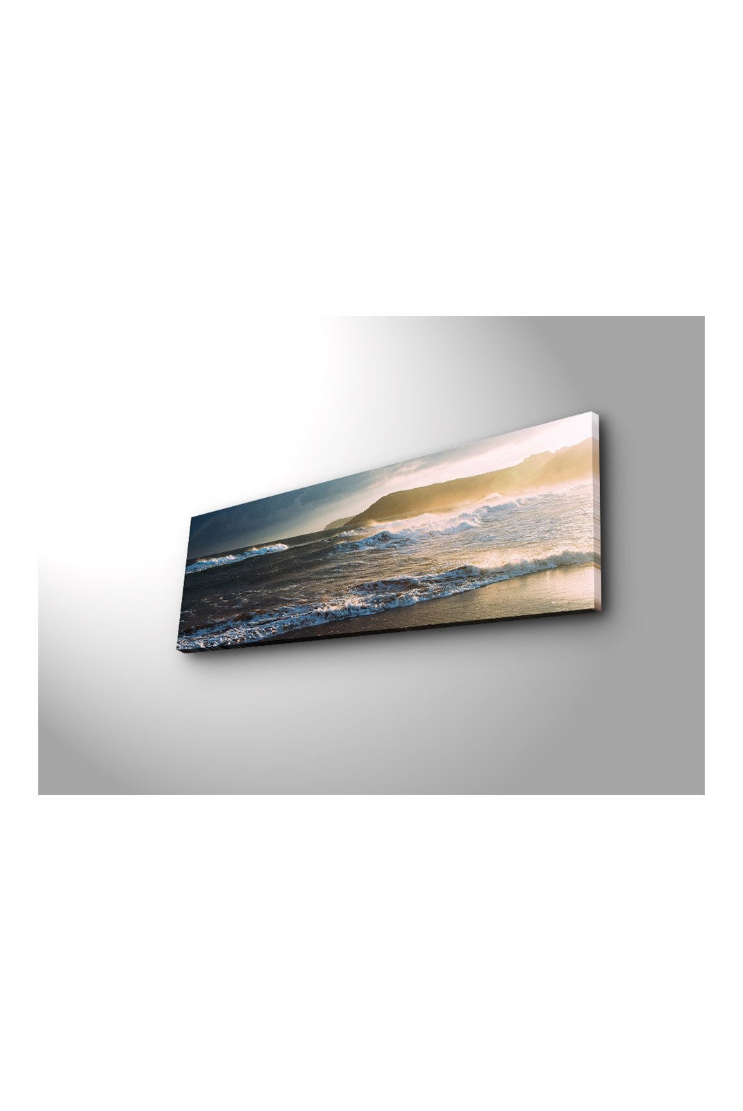 Toiles et posters  NEON WALL 254LED1219 