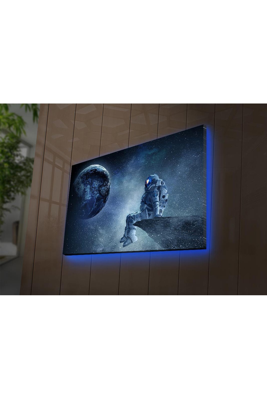 Toiles et posters  NEON WALL 254LED4326 