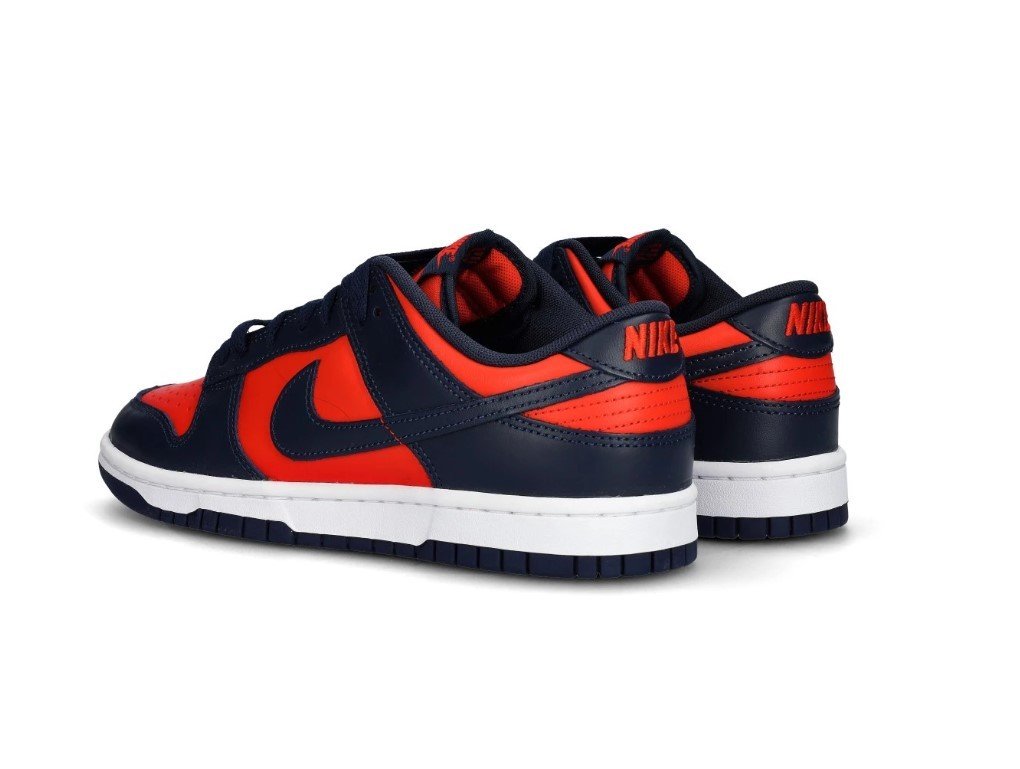 Sneakers / Sport  Nike DV0833 601