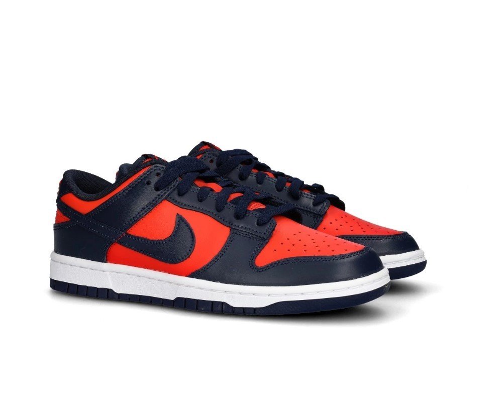 Sneakers / Sport  Nike DV0833 601