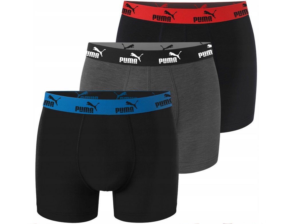 Slips / Boxers  Puma 100003547 008 010 BLACK/ANTHRACITE