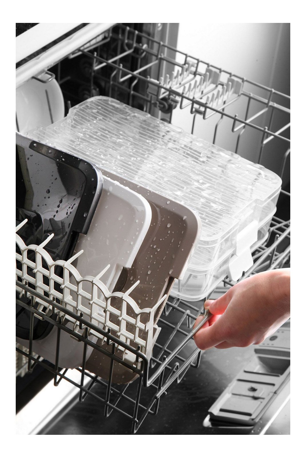 Boites de conservation alimentaire  Storage 639OKK1169 