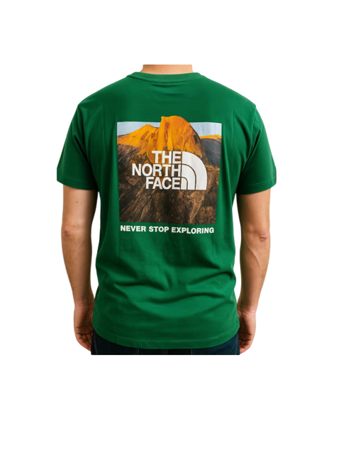 T-S manches courtes  The North Face NF0A8APWOAT1 PINE NEEDLE/GREEN