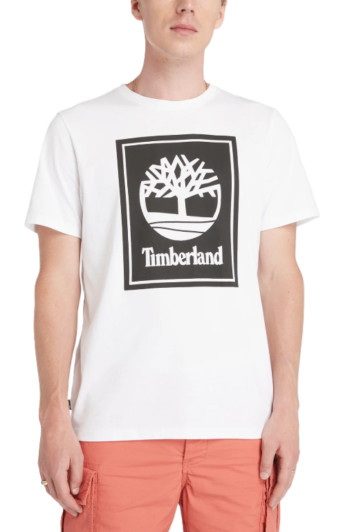 T-S manches courtes  Timberland TB0A2AJ1 BLANC