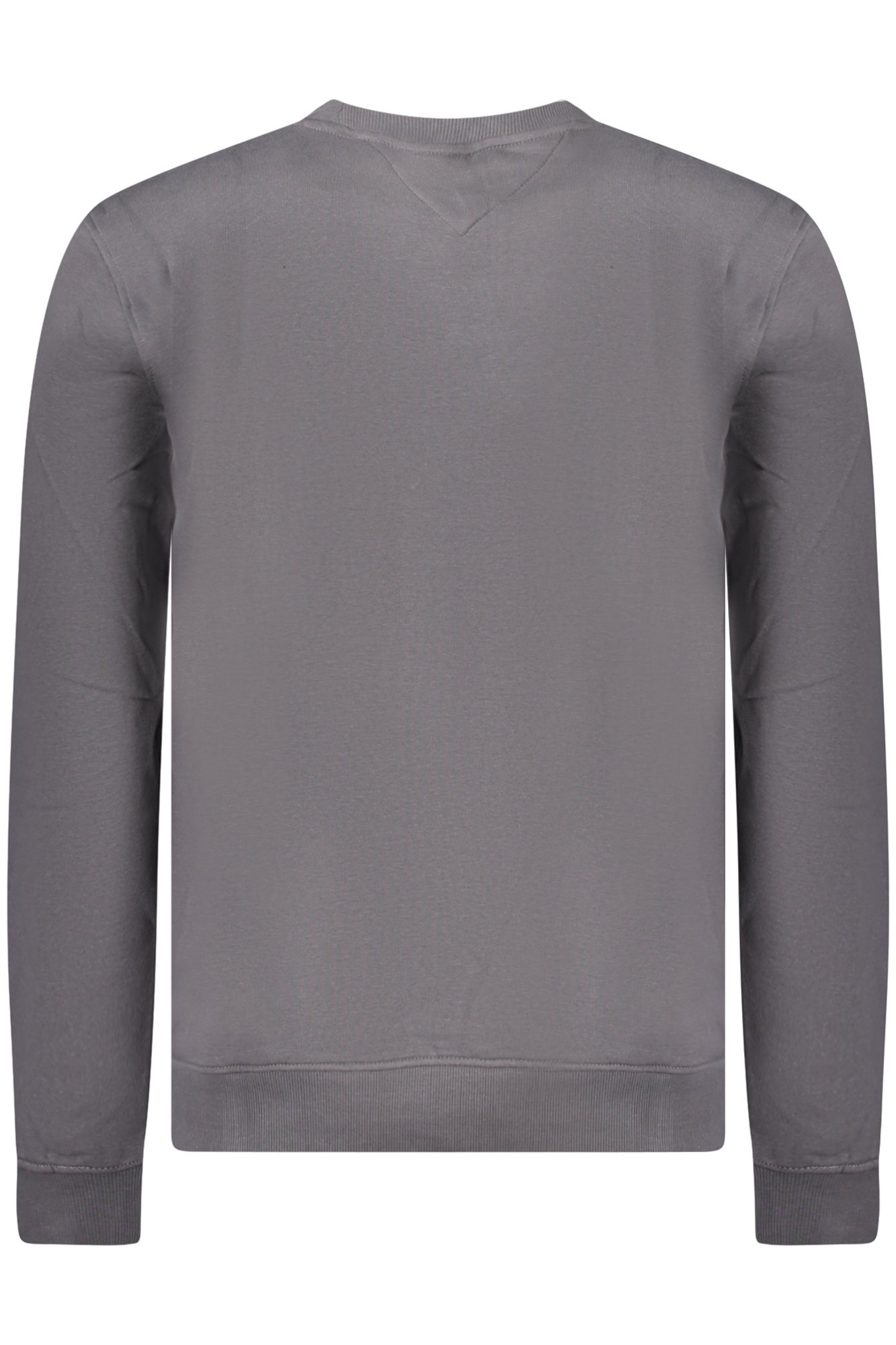 Sweatshirts  Tommy Hilfiger DM0DM20249_GRPT2 Grigio
