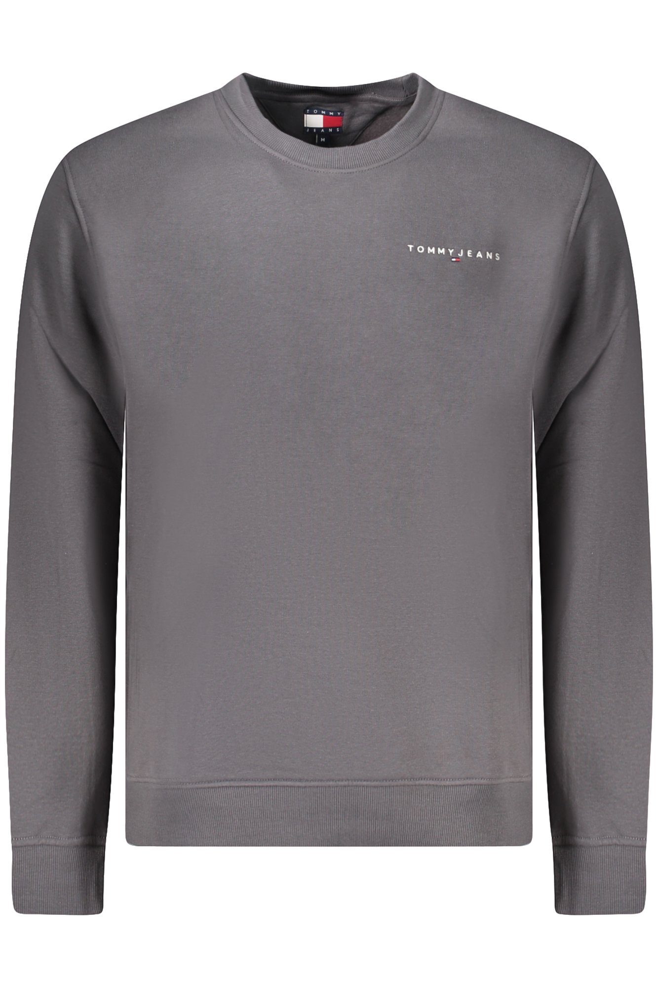 Sweatshirts  Tommy Hilfiger DM0DM20249_GRPT2 Grigio
