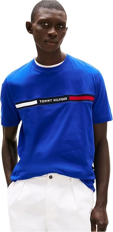T-S manches courtes  Tommy Hilfiger MW0MW36498 D03 Wedge Blue