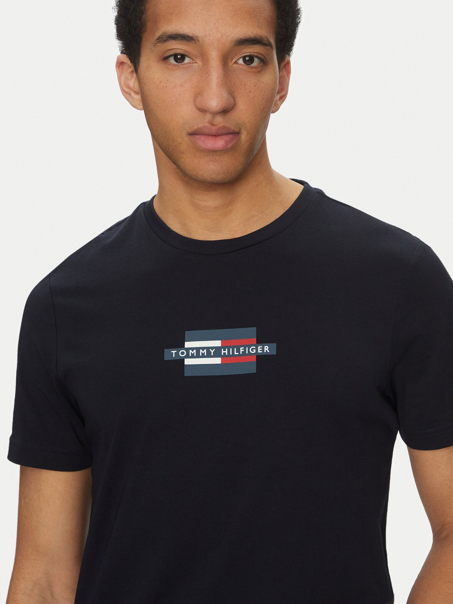 T-S manches courtes  Tommy Hilfiger MW0MW38636 DW5 Desert Sky