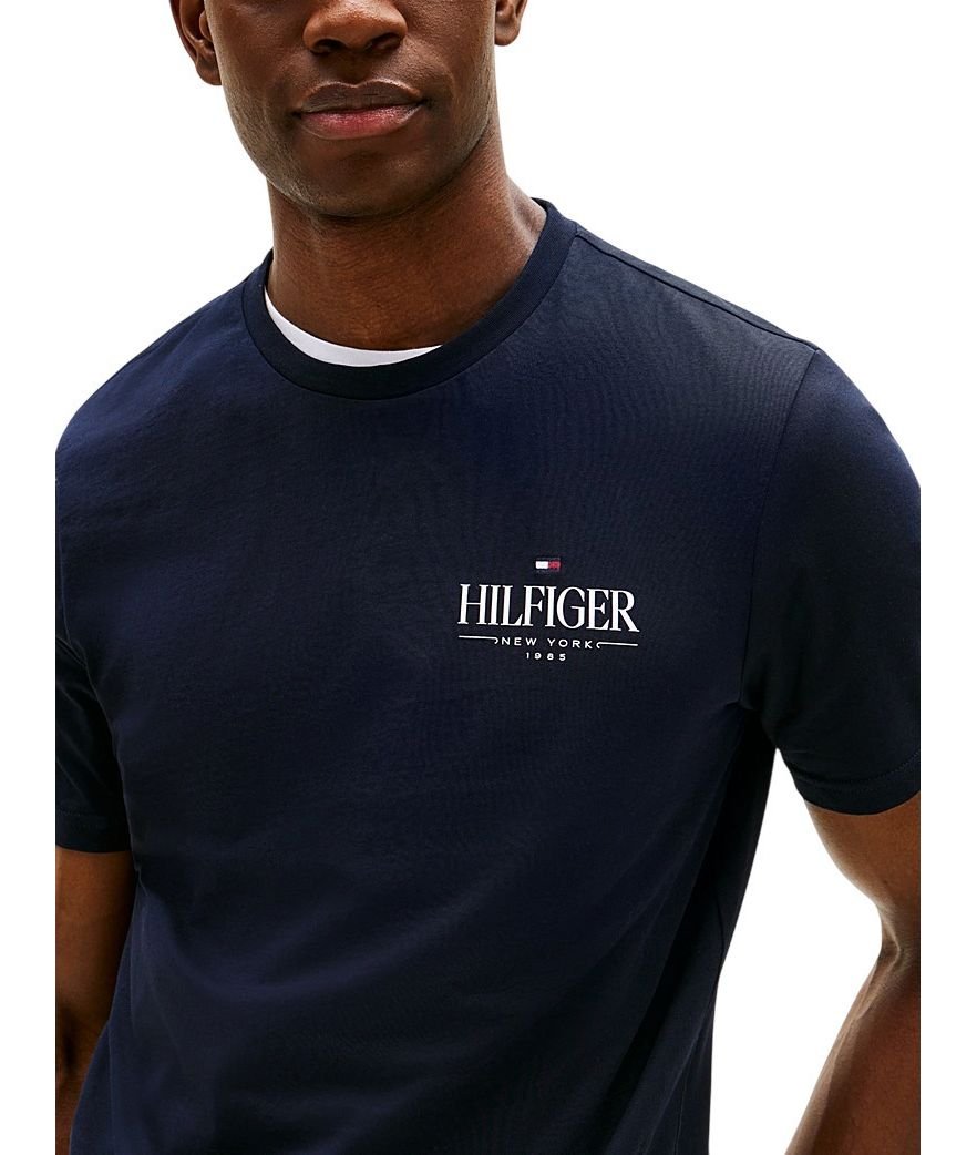 T-S manches courtes  Tommy Hilfiger MW0MW39355 DW5 Desert Sky