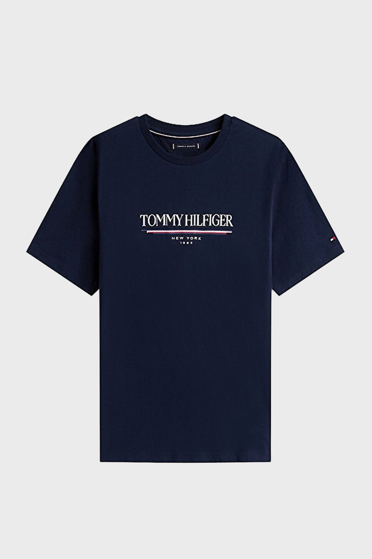 T-S manches courtes  Tommy Hilfiger MW0MW40324 DW5 Desert Sky