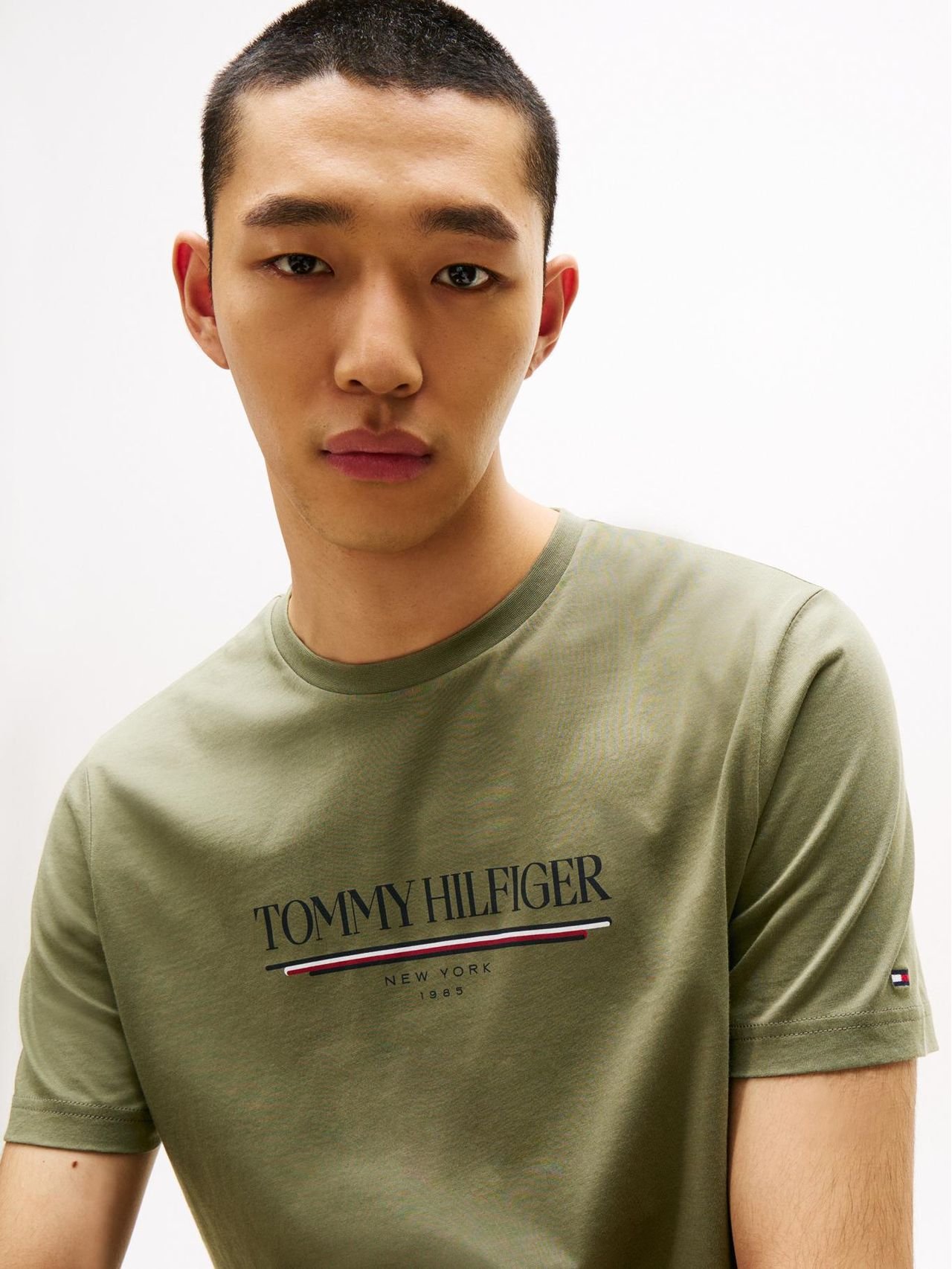 T-S manches courtes  Tommy Hilfiger MW0MW40324 PLI Battle Green
