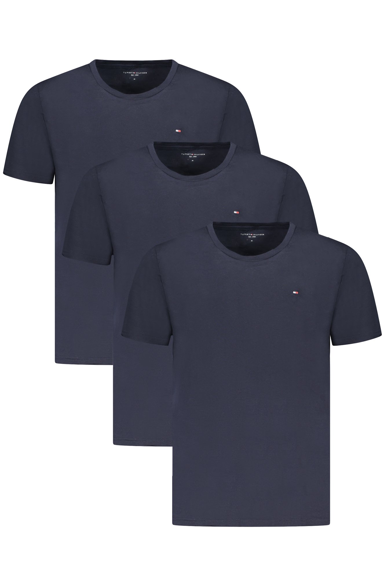 Tee-shirts  Tommy Hilfiger UM0UM03379_BL0WG Blu