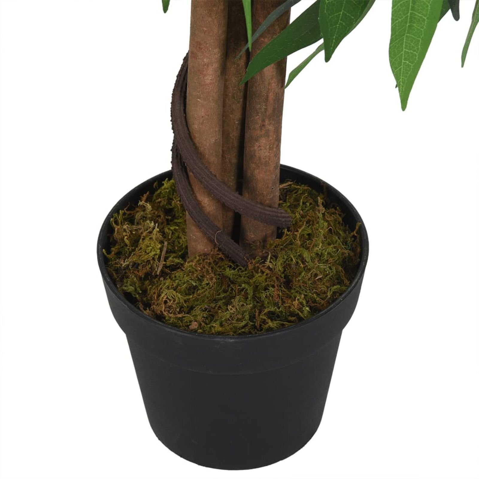 Décor   VidaXL 359032 Vert