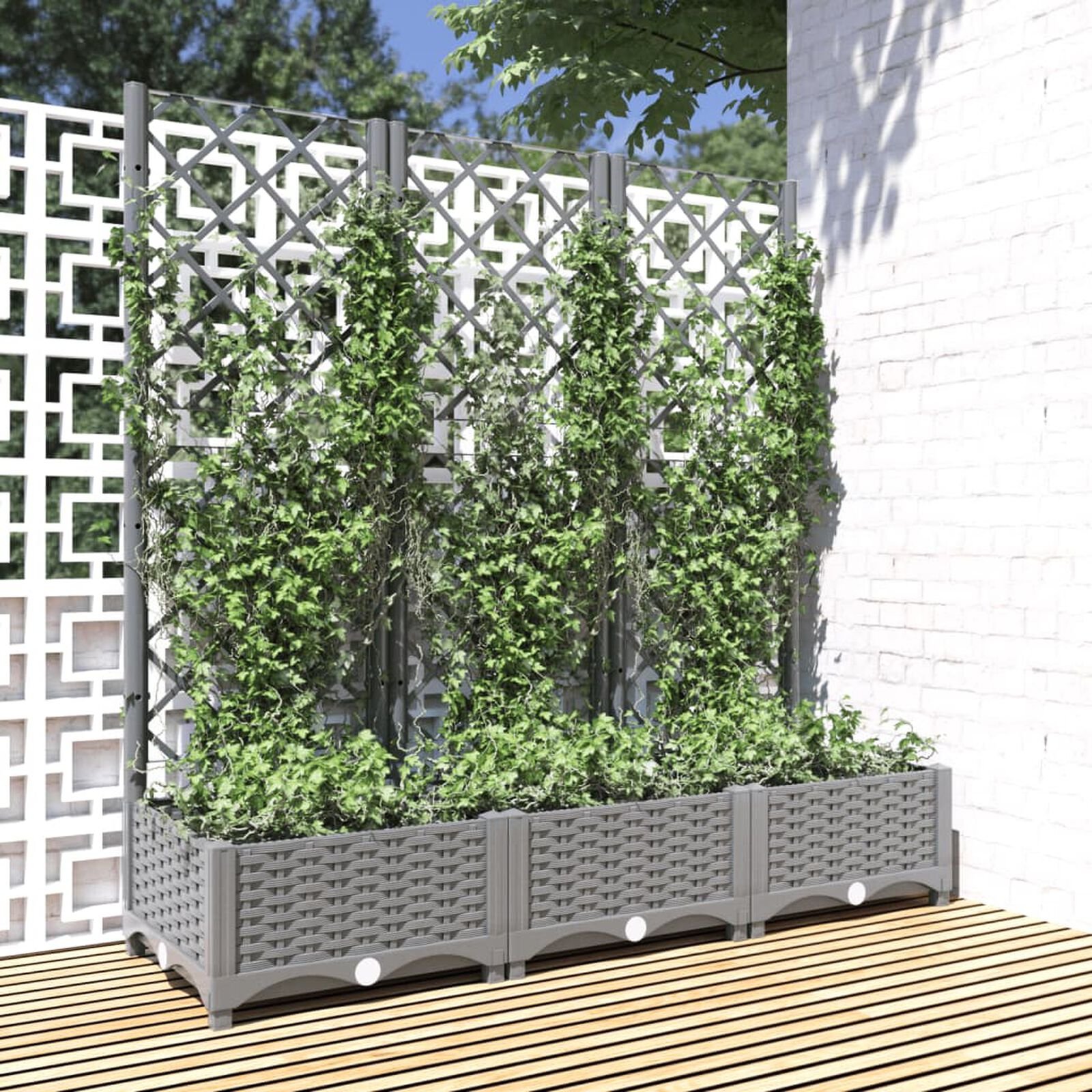 Pelouse et jardin   VidaXL 153273 Gris clair