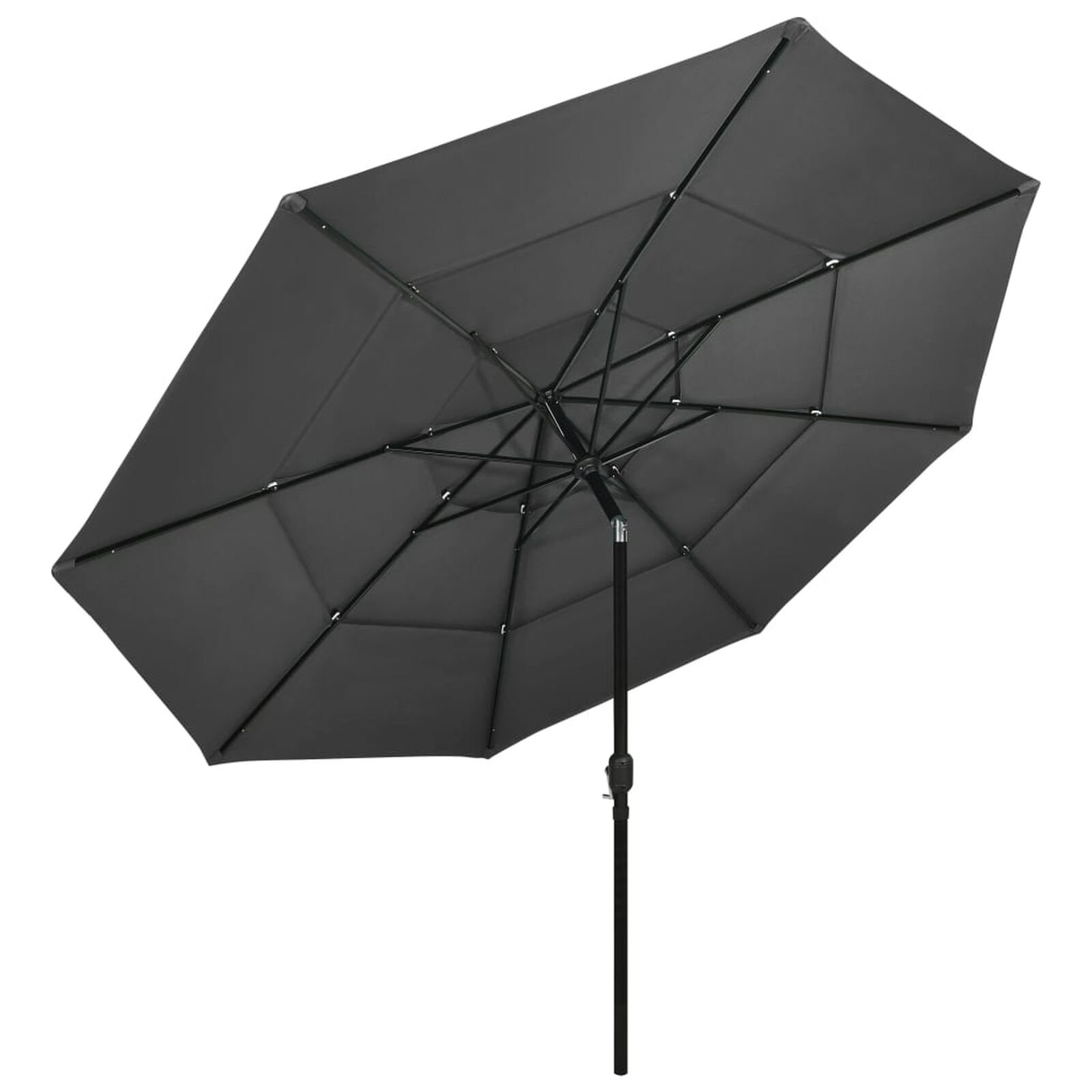 Pelouse et jardin   VidaXL 313878 Anthracite