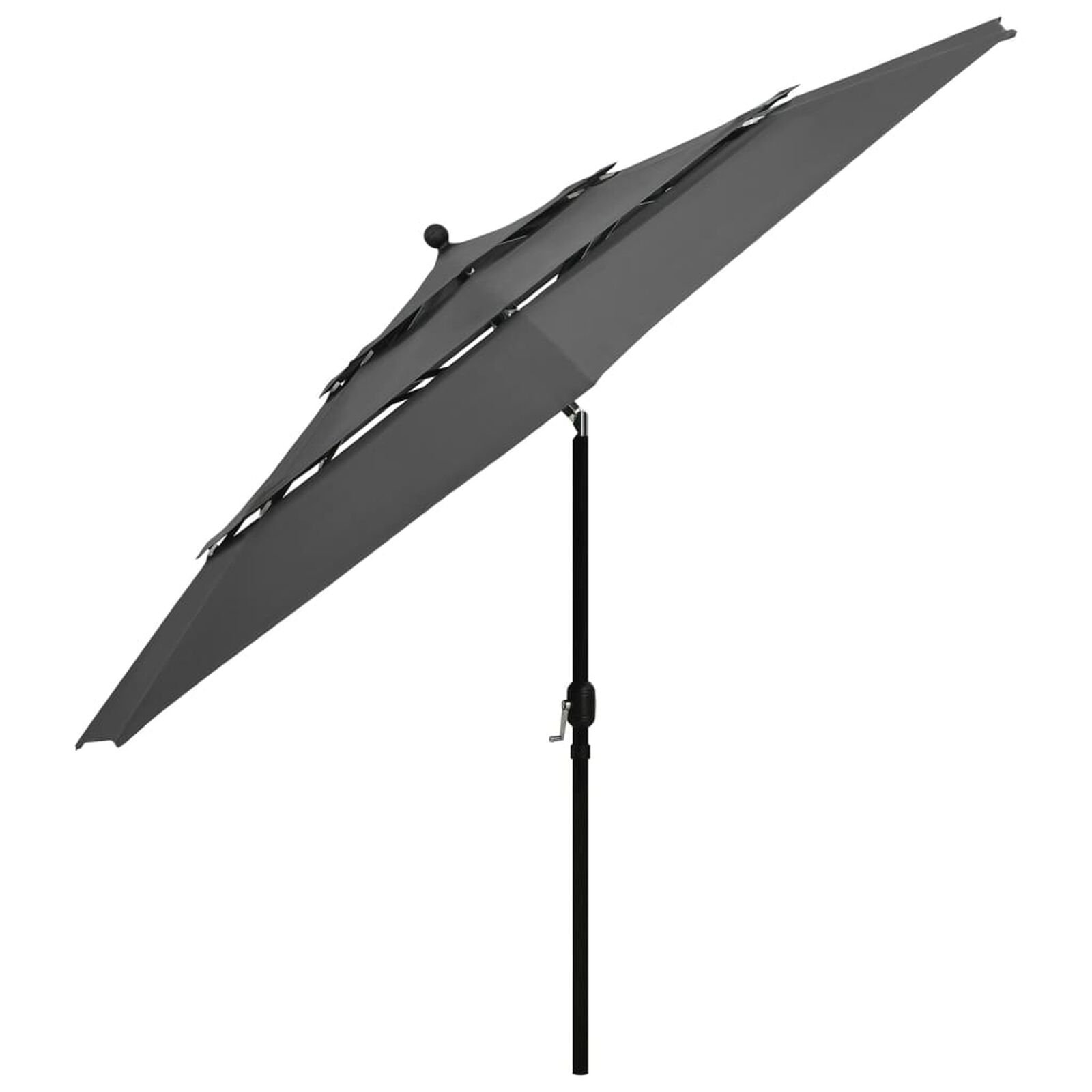 Pelouse et jardin   VidaXL 313878 Anthracite