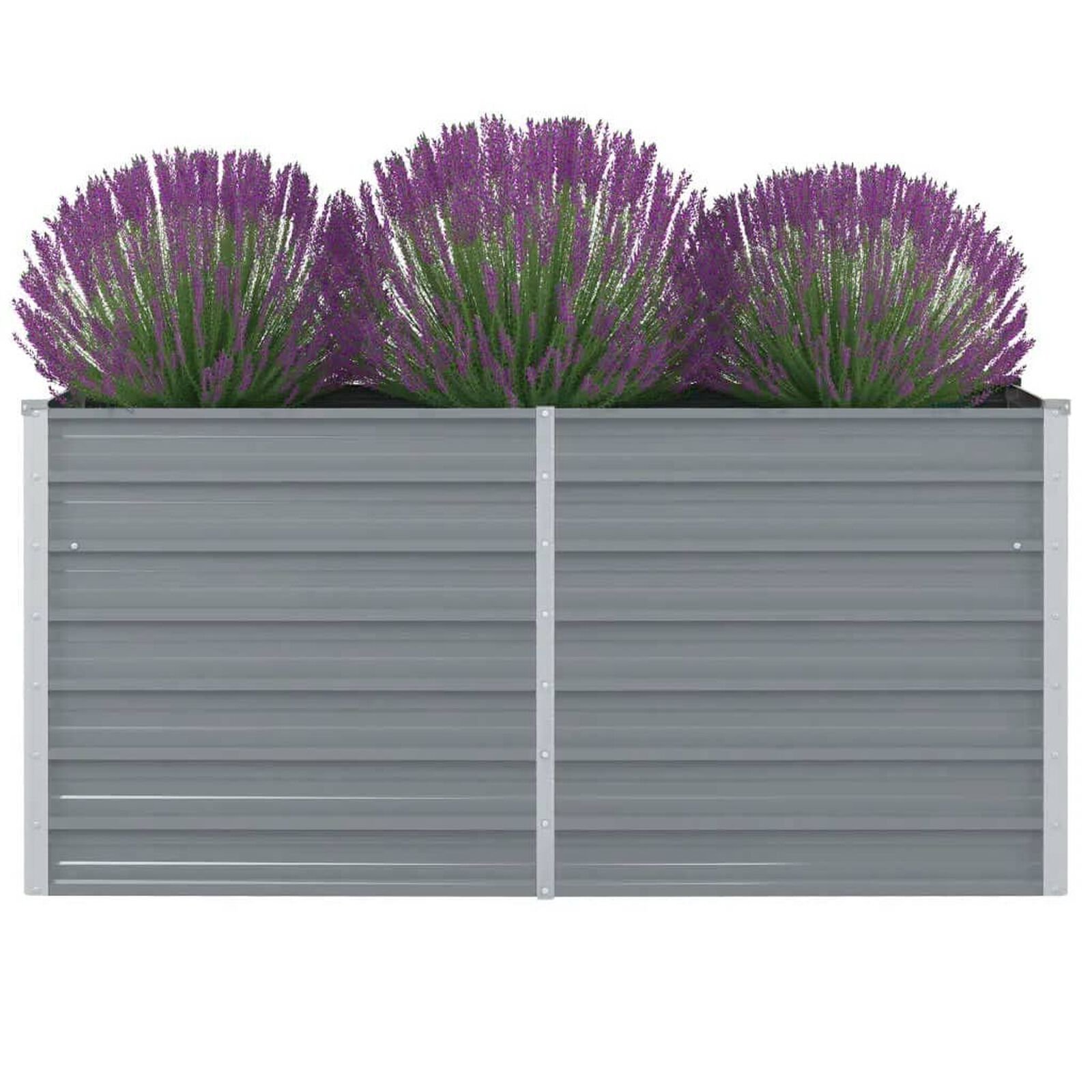 Pelouse et jardin   VidaXL 317248 Gris