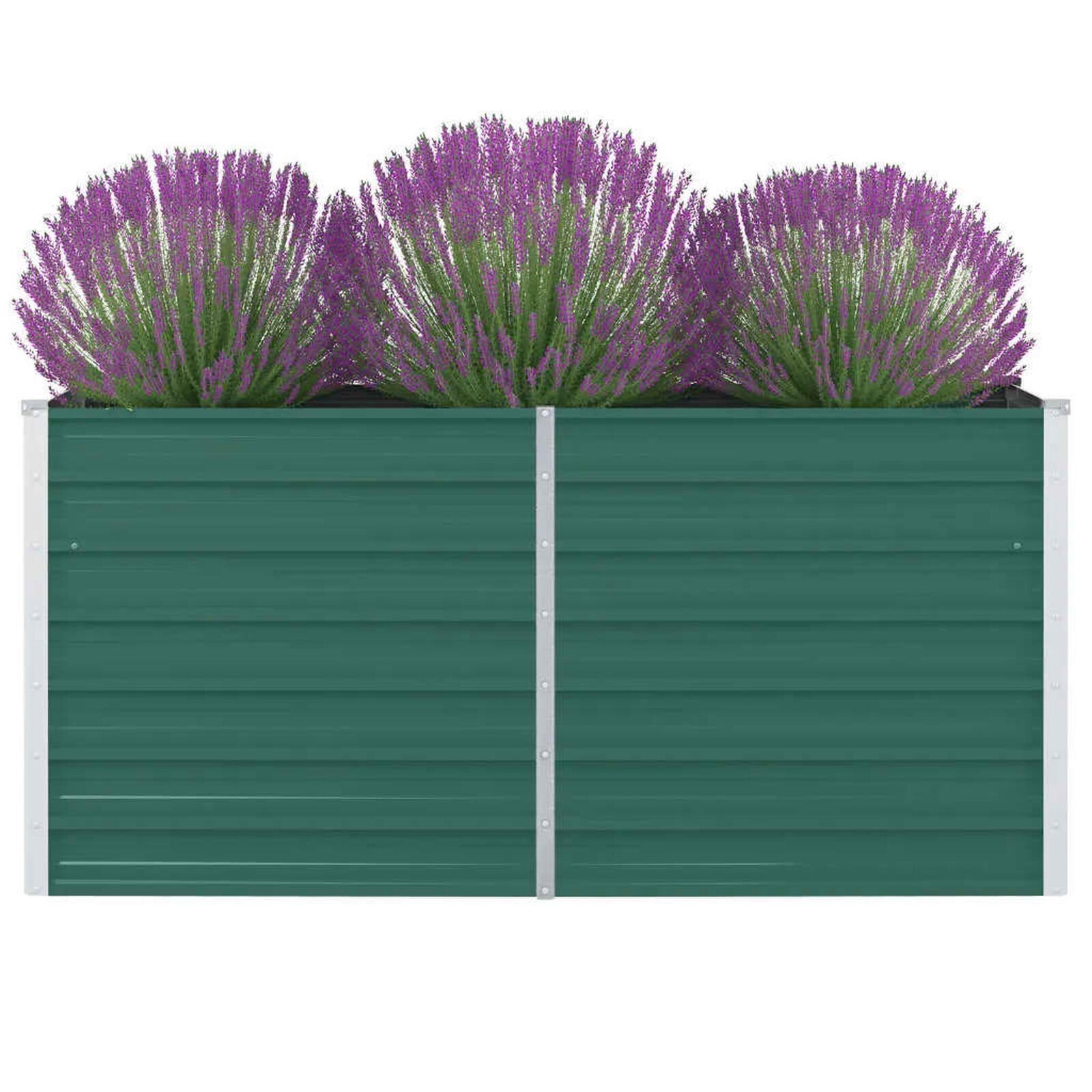 Pelouse et jardin   VidaXL 317251 Vert